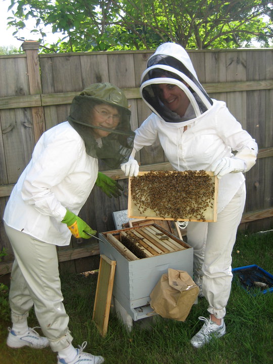 Matrushka Xenia and Juliana with the bees