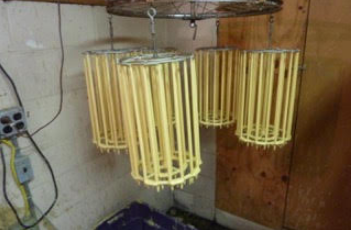 Beeswax candles drying