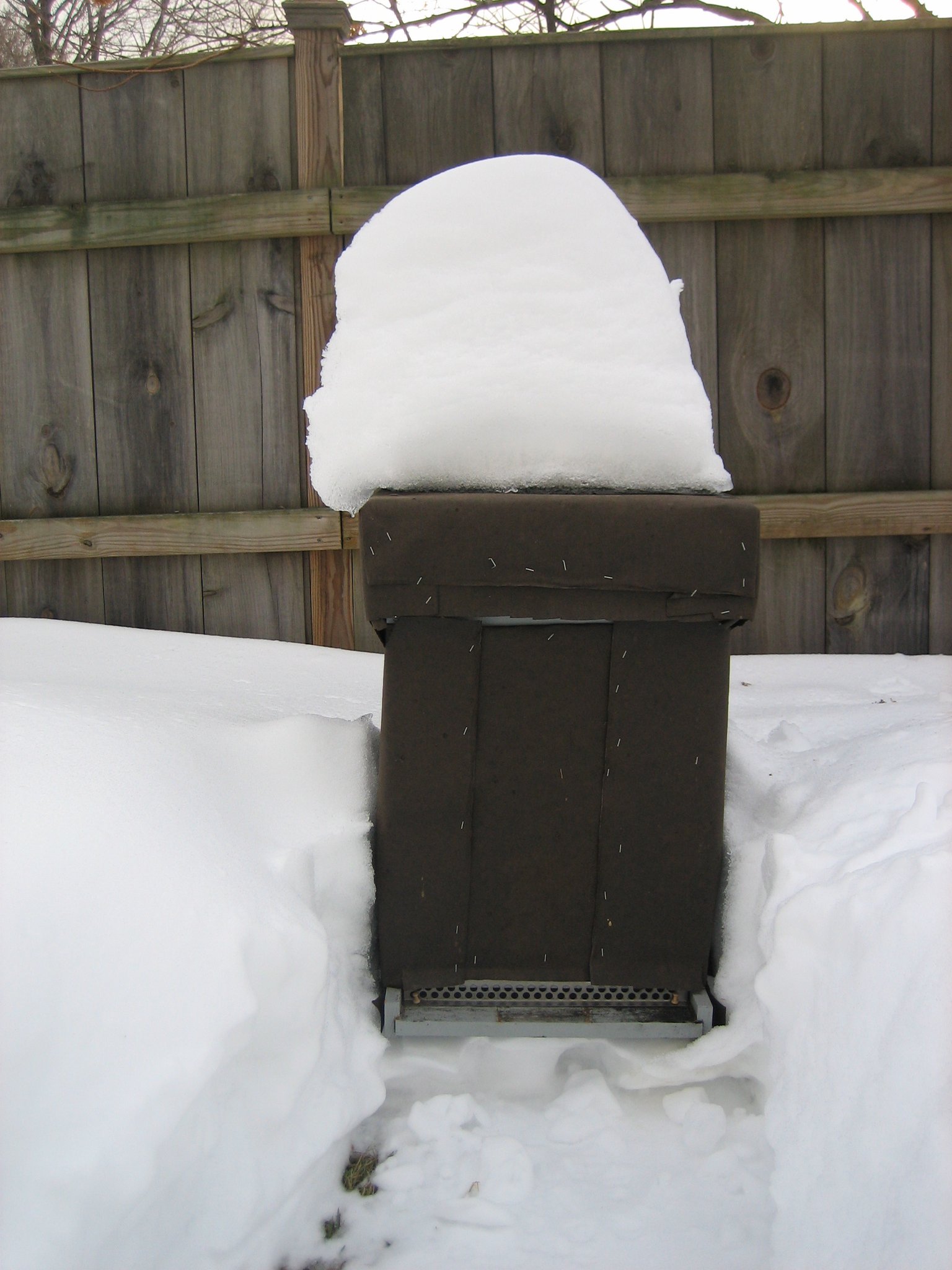 Beehive covered in snow